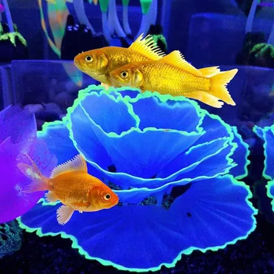 Productafbeelding van Aquariumdecoratie kunstmatig koraalornament, 7x9 cm, blauw, voor aquariumdecoraties