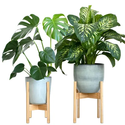 Image de Supports pour plantes – Lot de 2 supports à fleurs en bambou – Supports réglables pour pots jusqu'à 30,5 cm de diamètre – Hauteur : 35,5 cm – Supports pour plantes avec pieds