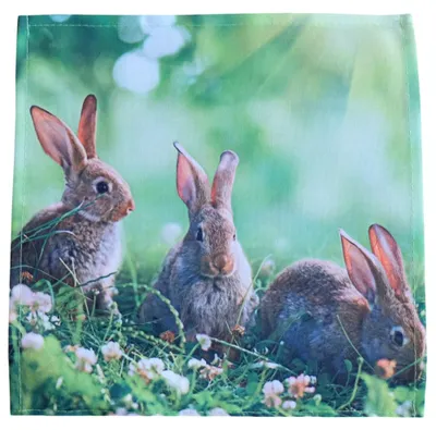 Imagen del producto de Mantel individual NELE, diseño de conejitos de Pascua, estampado fotográfico, poliéster, 40 x 40 cm