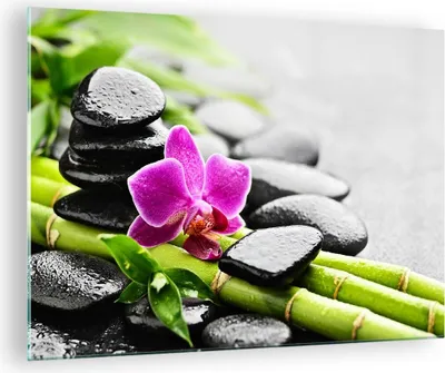 Produktbild von Bilder auf glas - Pflanze Steine Bambus Spa - 70x50cm - Glasbilder - Wandbilder - Kunstdruck - zum Aufhängen bereit - Wanddekoration aus Glas - Glas Bilder - Wandbild auf Glas - GAA70x50-2681
