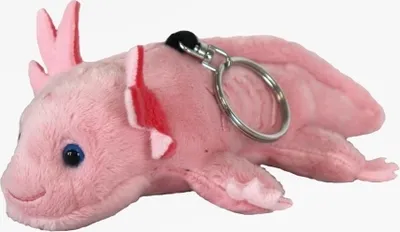 Produktbild von Schlüsselanhänger Plüschtier Axolotl, 15 cm, Kuscheltiere Stofftiere Schlüsselring Tier