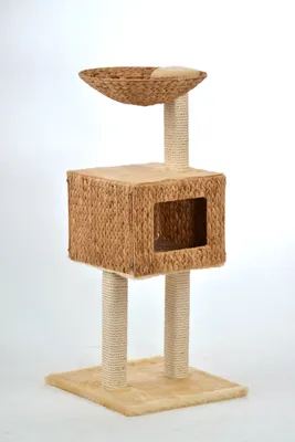 Produktbild von Silvio Design Katzenbaum Elissa, Beige, 21990000