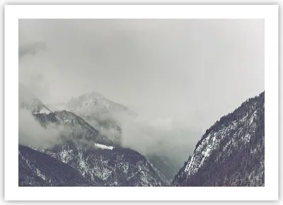Produktbild von Poster - Poster ohne Rahmen - Berge Wald Nebel - 70x50 cm - Wand Bild - Wanddeko - Wandbilder - Kunstposter - Wandposter - Bilder - Kunstdruck - Wanddekoration - Wandbild - P2XAA70x50-4270
