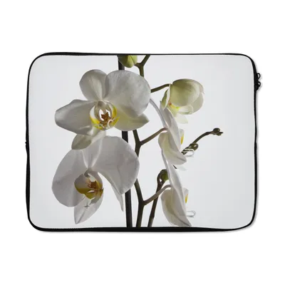 Produktbild von MuchoWow® Laptop Hülle 17 Zoll Laptoptasche Weiße Mottenorchidee - Zipper - Schutzabdeckung