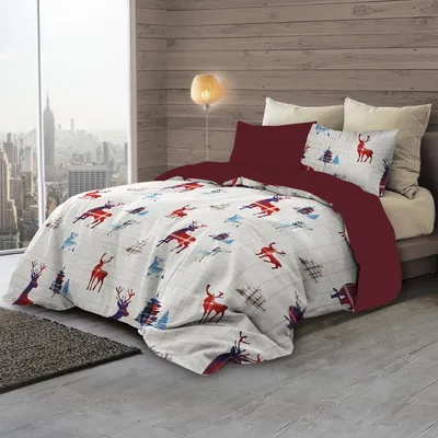 Produktbild von Traumschlaf Flanell Bettwäsche Alpino 155x220 cm + 80x80 cm