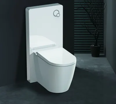 Produktbild von Weißglas Sanitärmodul für Stand-WC inkl. Betätigungsplatte