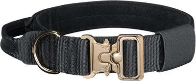 Produktbild von Hundehalsband verstellbar 1.5", Nylon, mit Griff, schwarz, für Training