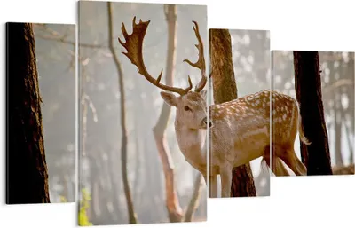 Produktbild von Bild auf Leinwand - Leinwandbild - Kitz Hirsch Tier wild - 120x70cm - Wand Bild - Wanddeko - Leinwanddruck - Bilder - Kunstdruck - Wanddekoration - Leinwand bilder - Wandkunst - DL120x70-2400