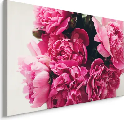 Obrázek produktu pro Image pivoňky kytice rostlin příroda obývací pokoj Nástěnná dekorace s 3D efektem 120x80cm