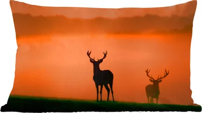 Produktbild von MuchoWow® Zierkissen Sofakissen Wohnzimmer Dekokissen 50x30 cm Hirsch - Scherenschnitt - Nebel - Wohnzimmerdekoration - Polster mit Photo