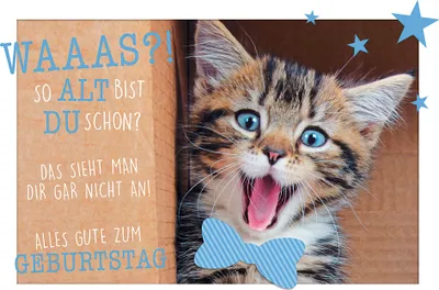 Produktbild von Geburtstag Glückwunschkarte im Format 115x17cm mit Umschlag