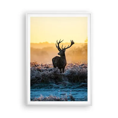 Produktbild von Gerahmtes Poster - Weißer Rahmen - Feld Nebel Natur Baum - 70x100 cm - Wand Bild - Wanddeko - Wandbilder - Kunstposter - Wandposter - Bilderrahmen - Bilder - Kunstdruck - Wandbild - P2WPA70x100-2428