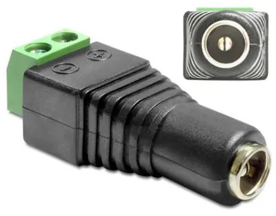 Image de DELOCK Adapter Terminalblock 2Pin -> DC 2,1 x 5,5mm Buchse