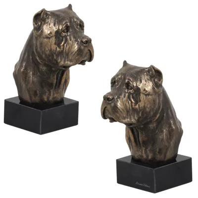 Imagen del producto de Art-Dog Busto – Cane Corso – moldeado en polvo de bronce y resina