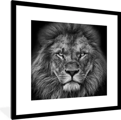 Produktbild von MuchoWow® Gerahmtes Poster Tiere - Löwe - Schwarz - Weiß - Porträt 40x40 cm - Poster mit Schwarzem Bilderrahmen Wandposter Rahmen Foto Bilder - Poster - Plakat im Rahmen
