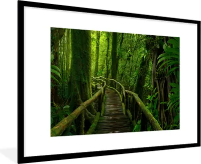 Produktbild von MuchoWow® Gerahmtes Poster Dschungel - Brücke - Moos - Natur - Tropisch 90x60 cm - Poster mit Schwarzem Bilderrahmen Wandposter Rahmen Foto Bilder - Wanddekoration - Fotos