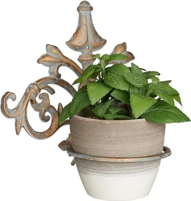 Produktbild von Topflappen Wand Gusseisen Barock
