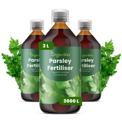 Obrázek produktu pro Petržlen Tekuté Hnojivo 3x1 L – 2-1-8 NPK – Pro Petržlen – Podporuje Intenzivní Tvorbu Arómy & Zdravú Štruktúru – Organifer