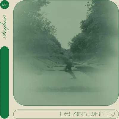 Produktbild von Leland Whitty: Anyhow - - (LP / A)
