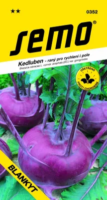 Produktbild von Semo KOHLRABI 'BLANKYT'