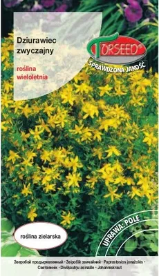 Produktbild von Samen von Johanniskraut, Hypericum perforatum 0.2g - Torseed