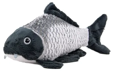 Produktbild von Kuscheltier Karpfen grau 24 cm Fisch Plüschfisch