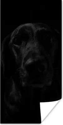 Produktbild von MuchoWow® Poster Hund - Haustier - Schwarz 40x80 cm - Dekoration