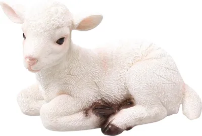 Produktbild von Weißes Lamm aus Harz Beschichtet 1