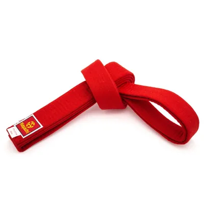 Produktbild von Budogürtel rot 300