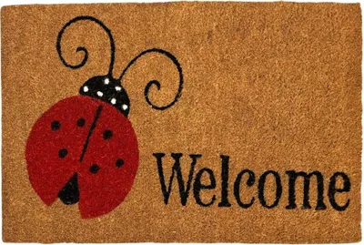A doormat with a ladybug design and the word 'Welcome'.