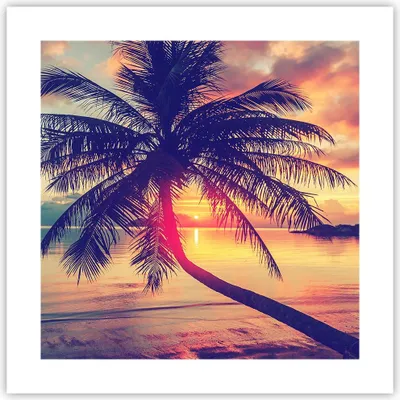 Produktbild von Poster - Poster ohne Rahmen - Meer Strand Palme - 40x40 cm - Wand Bild - Wanddeko - Wandbilder - Kunstposter - Wandposter - Bilder - Kunstdruck - Wanddekoration - Wandbild - P2XAC40x40-3925