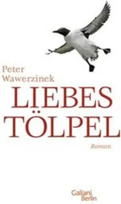 Produktbild von Peter Wawerzinek: Liebestölpel Roman