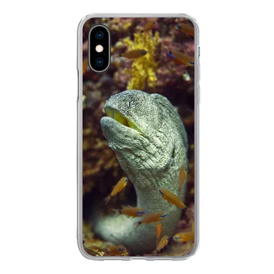 Produktbild von MuchoWow® Handyhülle Schutzhülle Hülle für iPhone X Fische - Korallen - Ozean Silikon Softcase Handy Hülle - Handyhülle