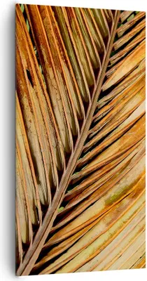 Produktbild von Bild auf Leinwand - Leinwandbild - Einteilig - Orange Blatt Tropisch - 65x120cm - Wand Bild - Wanddeko - Wandbilder - Leinwanddruck - Bilder - Wanddekoration - Leinwand bilder - PA65x120-4876