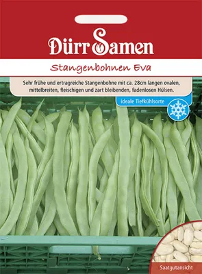 Produktbild von Dürr-Samen - Stangenbohnen Eva - Saatgut - 0314