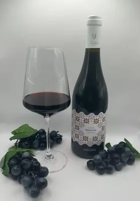 Produktbild von Primitivo Viglione  | Tenuta Viglione
