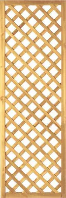 Produktbild von T&J DIAGONAL Rankzaun 6 x 6 cm 60 x 180 cm