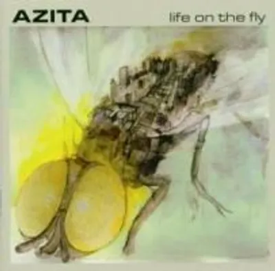 Produktbild von Azita-Life On The Fly