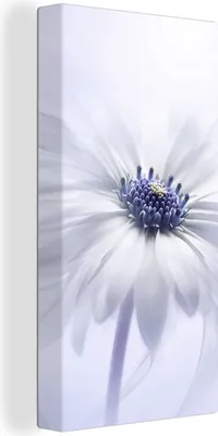 Produktbild von MuchoWow® - Leinwandbilder - Blume - Abstrakt - Weiß, Wandbild, Wanddeko Bilder Wohnzimmer, 20x40 cm
