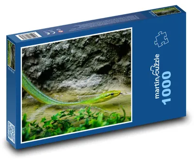 Obrázok produktu pre Puzzle 1000 Zelený had pri vode - martinpuzzle