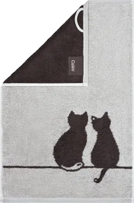 Cawö Frottier Cute Cats 70 Gästetuch 30x50 cm in platin basalt, Katzenmotiv, weiches und saugfähiges Walkfrottier aus 100 % Baumwolle, Öko-Tex zertifiziert.