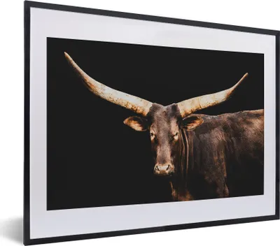 Produktbild von MuchoWow® MuchoWow® Gerahmtes Poster Kuh - Watussi - Schwarz 40x30 cm - Poster mit zchwarzem Bilderrahmen - Bilderrahmen - Poster im Rahmen
