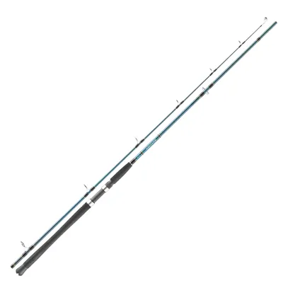 Produktbild von Daiwa Saltist Sea Pilkrute, WG g:40-110, Länge m:2.70