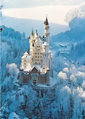 Image de RAVENSBURGER Puzzle Château de Neuschwanstein en hiver 1500 pièces