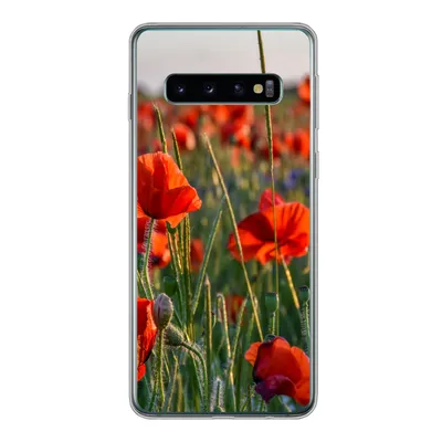 Produktbild von MuchoWow® Handyhülle Schutzhülle Hülle für Samsung Galaxy S10 Blumen - Mohnblumen - Natur - Rot Silikon Softcase Handy Hülle - Handytasche