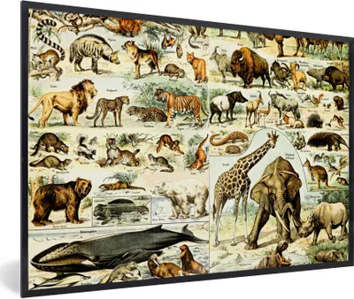 Produktbild von MuchoWow® Gerahmtes Poster Tiere - Giraffe - Löwe 60x40 cm - Poster mit Schwarzem Bilderrahmen Wandposter Rahmen Foto Bilder - Printing - Wanddeko Schlafzimmer