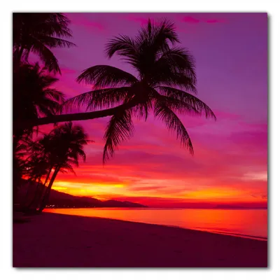 Produktbild von Wallario selbstklebende Möbelfolie/ Tischdecke für Innen und Außen, Größe: 50 x 50 cm - Abendrot unter Palmen - pinker Himmel am Strand