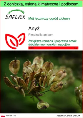 Zdjęcie produktu dla SAFLAX - Garden to go - Anyż - 200 Nasiona - Z doniczką, pokrywą klimatyczną i podłożem do uprawy - Pimpinella anisum