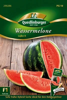 Artikelbild 1 von 'Wassermelone Lajko ll' aus der Kategorie Wassermelonensamen
