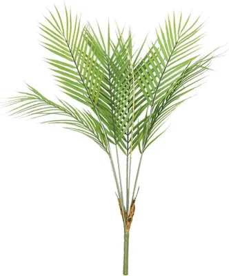 Zdjęcie produktu dla Roślina sztuczna Areca palma 75 cm, realistyczne liście, plastik, do dekoracji tropikalnej